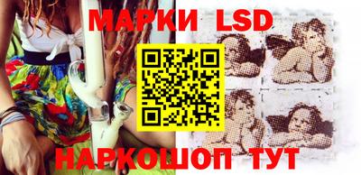 амф Заволжье