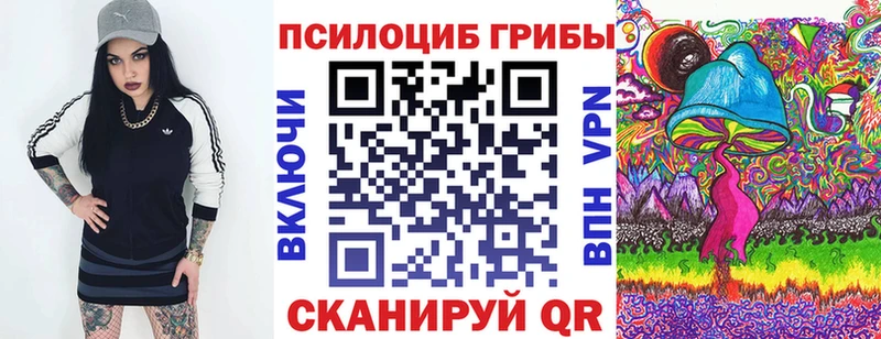 магазин продажи наркотиков  mega tor  Псилоцибиновые грибы Psilocybine cubensis  Самара 