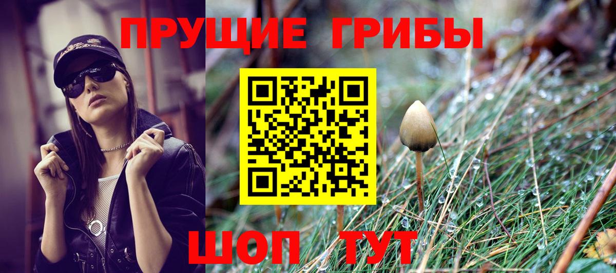 Самара  Галлюциногенные грибы MAGIC MUSHROOMS  Вход с VPN 
